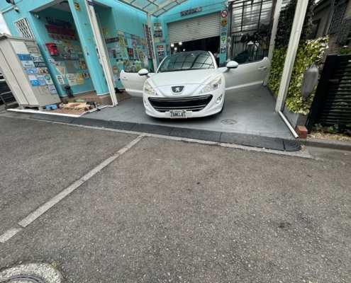 プジョー（Peugeot）RCZ